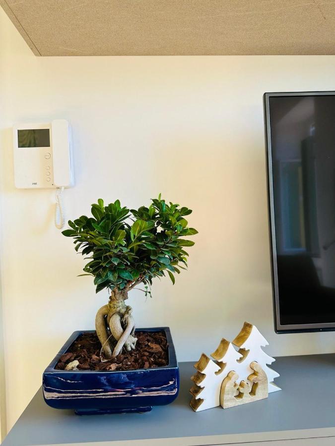 Alocasia Luxury Stay Salerno Buitenkant foto